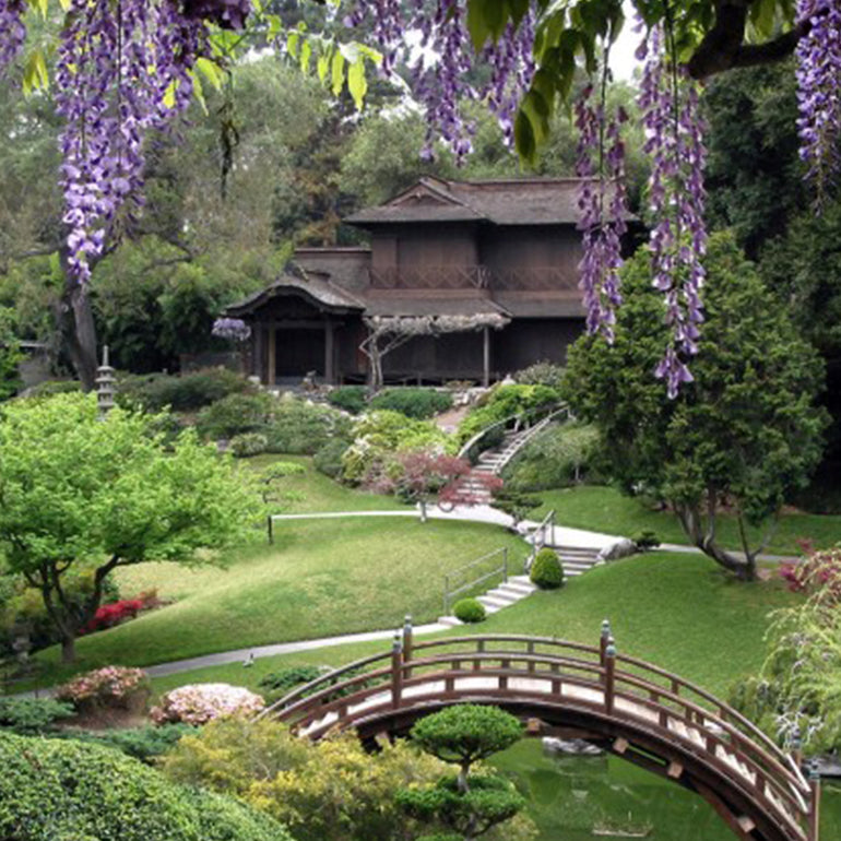 Japanese Garden at Huntington Gardens