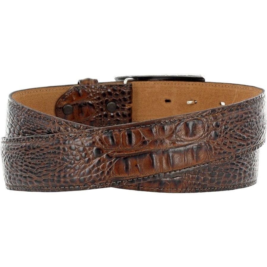 Caiman Special Belt brown 2