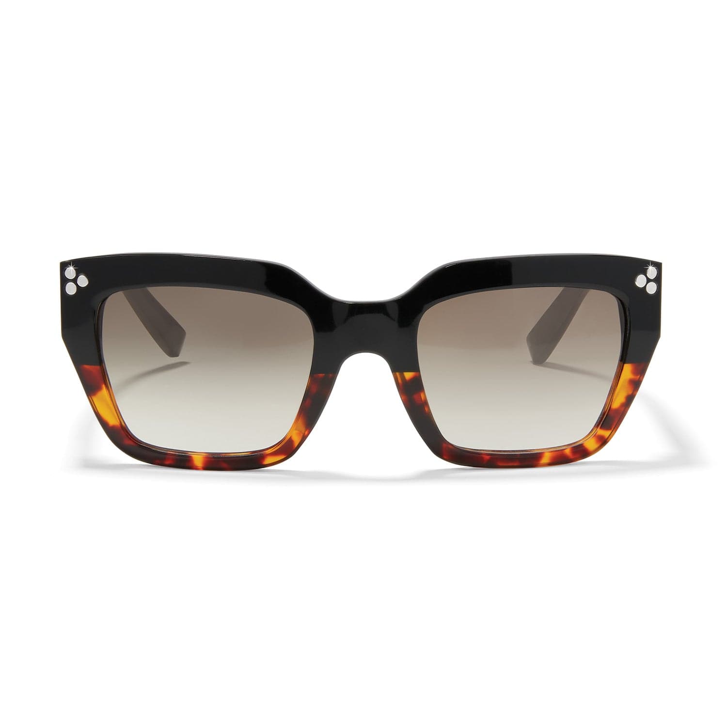 Contempo Dot Dual Sunglasses tortoise 3