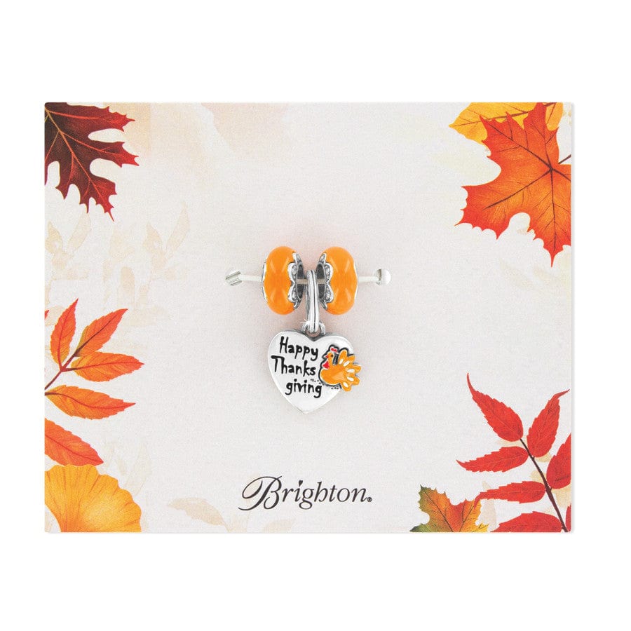 Happy Thanksgiving Charm Set silver-orange 1