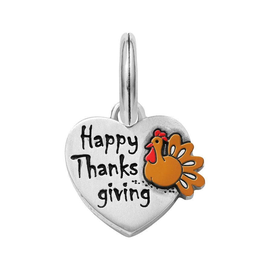 Happy Thanksgiving Charm Set silver-orange 2