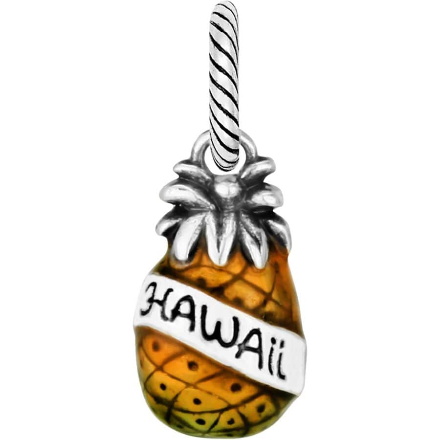 Hawaii Charm silver-gold 2