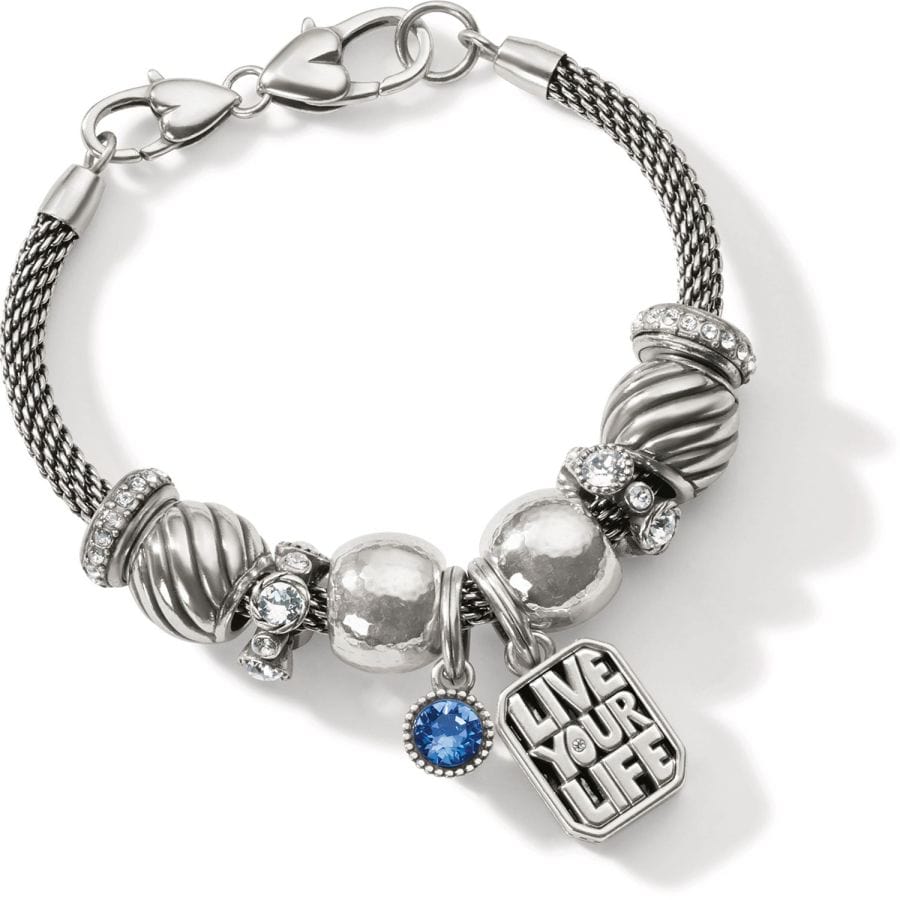 Live Your Life Adventure Bracelet silver-blue 2