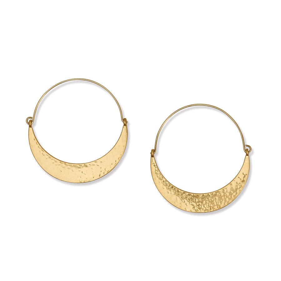 Palm Canyon Large Hoop Earrings gold 4