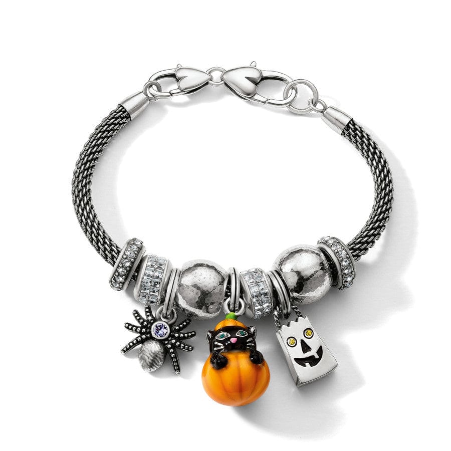 Purrfect Pumpkin Charm silver-orange 3