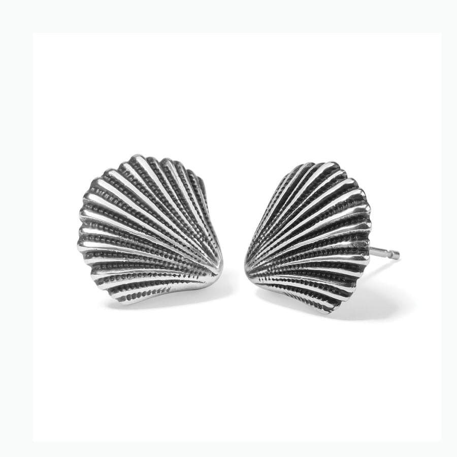 Silver Shells Post Earrings silver 2