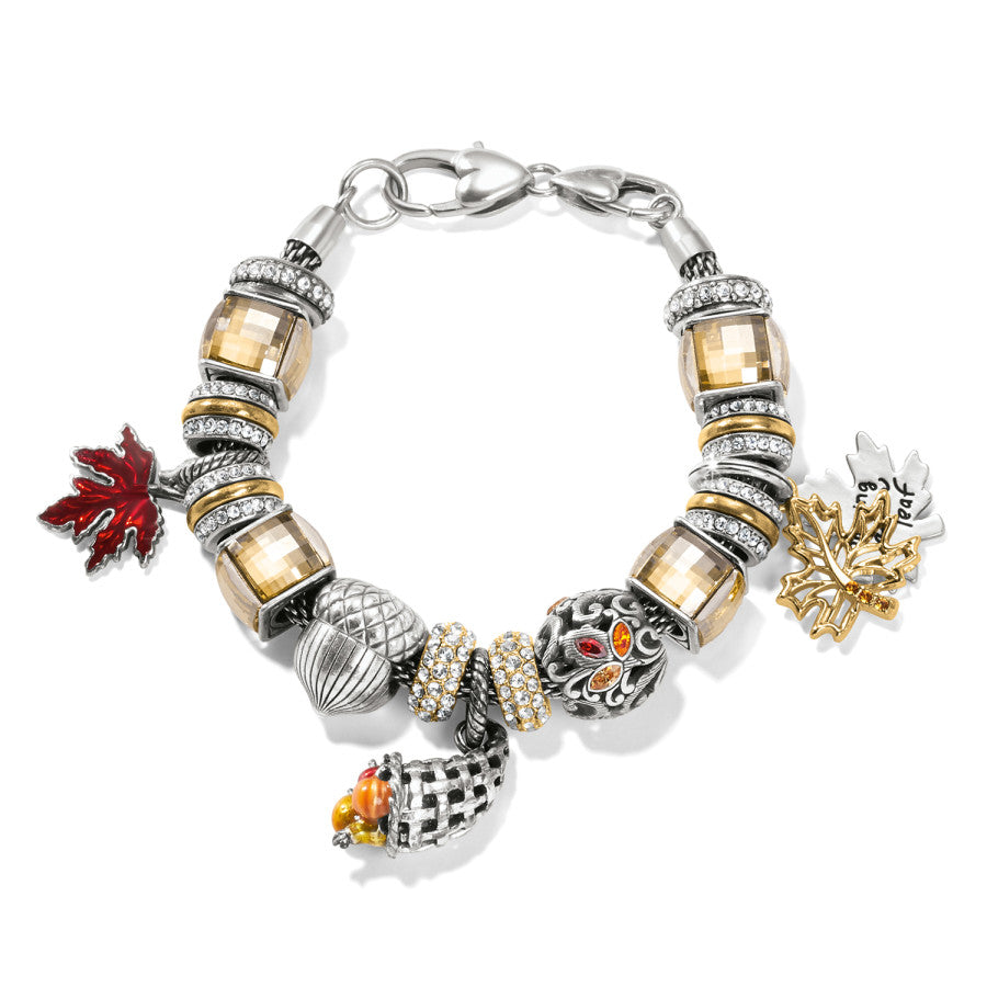 Autumn Harvest Charm silver-multi 4