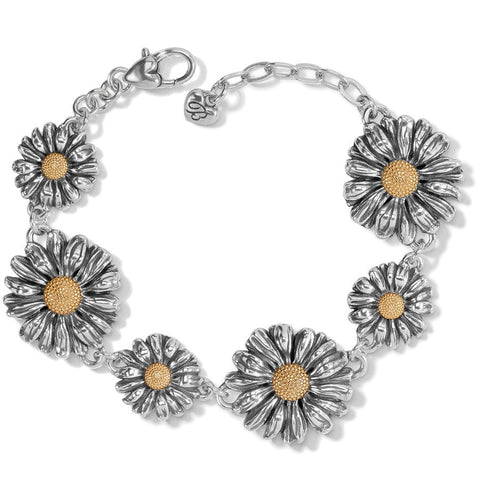 Daisy Dee Bracelet - Brighton