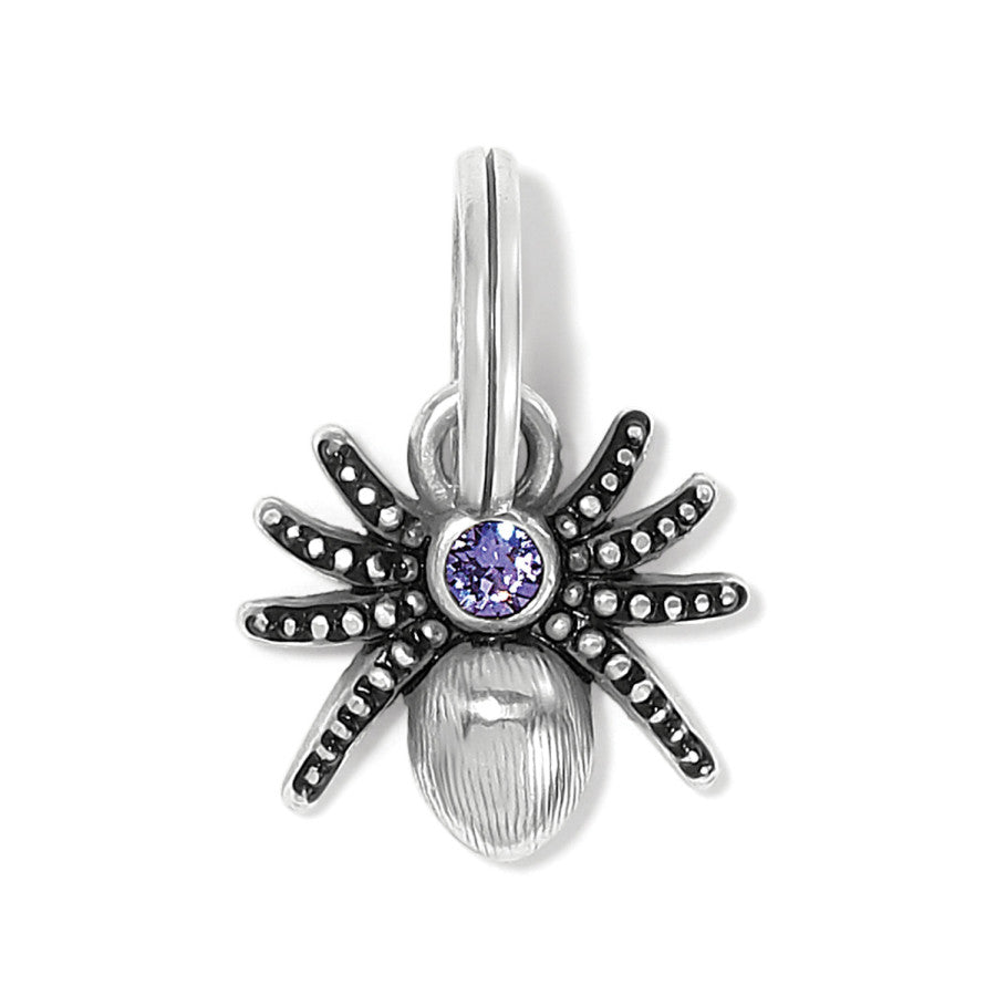 Spooky Spider Charm silver-tanzanite 1