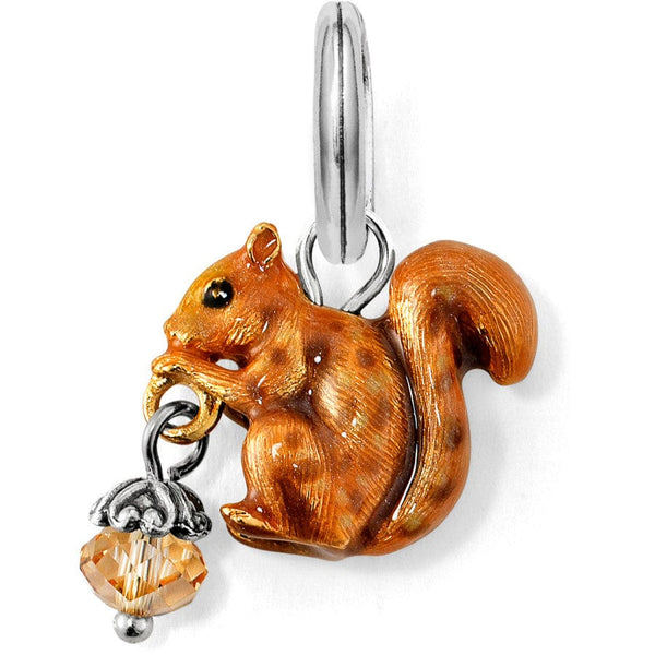 Squirrel Foot Keychain, Key Chain, Pendant, Necklace or Bracelet Charm over  2 in